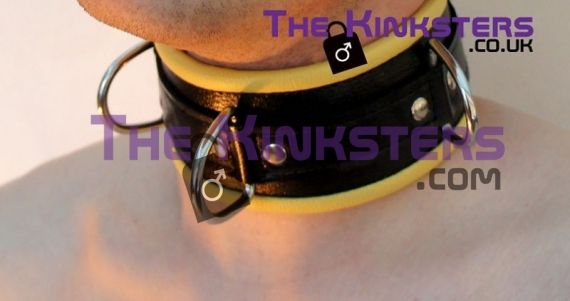 Black And Yellow Padded Leather Collar