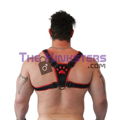 Brutus Puppy Harness Black & Red
