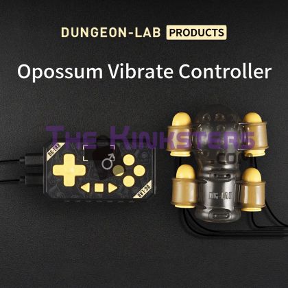 Dungeon Lab Opossum Vibration Controller