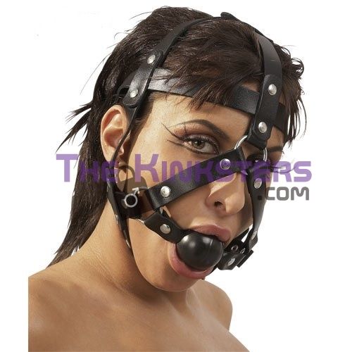Leather Head Harness and Ball Gag