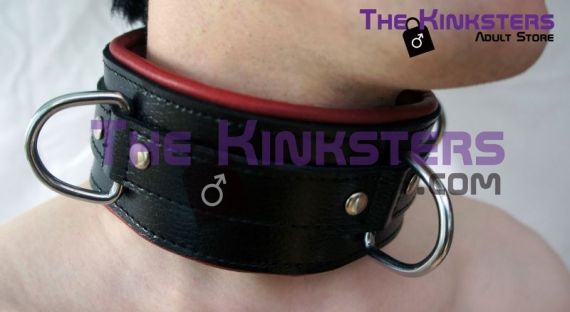 Black & Red Padded Leather Collar