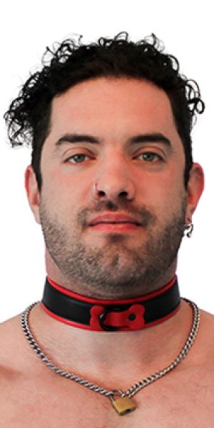 BRUTUS Vegan Puppy Collar Black & Red