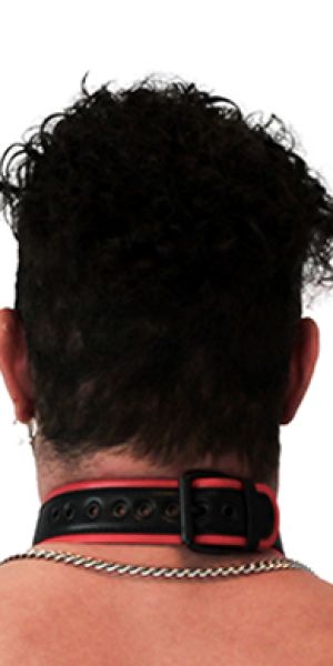 BRUTUS Vegan Puppy Collar Black & Red