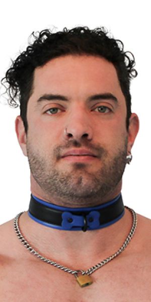 BRUTUS Vegan Puppy Collar Black & Blue
