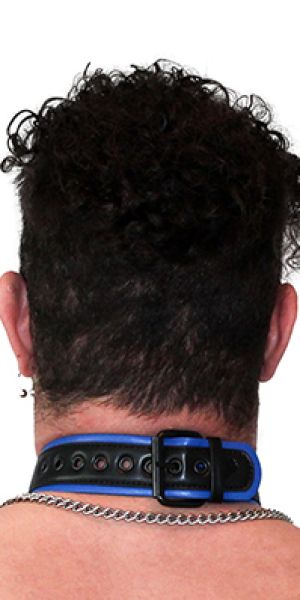 BRUTUS Vegan Puppy Collar Black & Blue