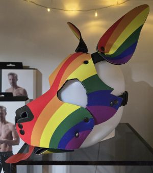 Re-Kinked - Wruff Stuff Superbia 2016 Pride Pup Hood