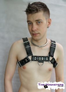 Leather H Chest Harness Black