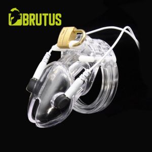 Brutus Volts Cage